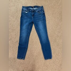 Judy Blue Skinny Jean